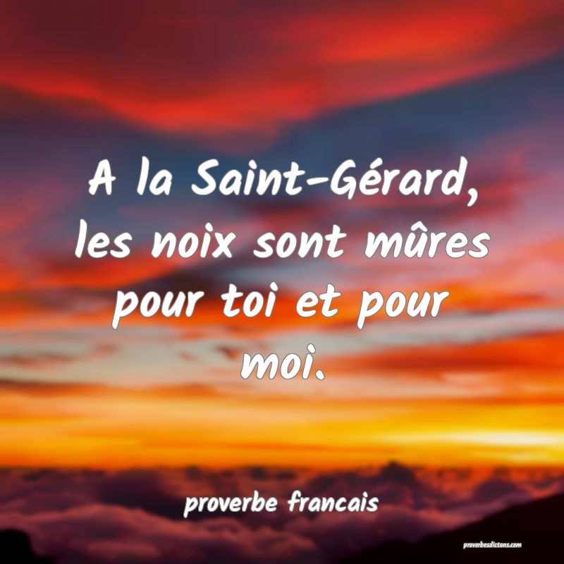 A la Saint-Gérard, les noix sont mûres pour toi et pour moi.