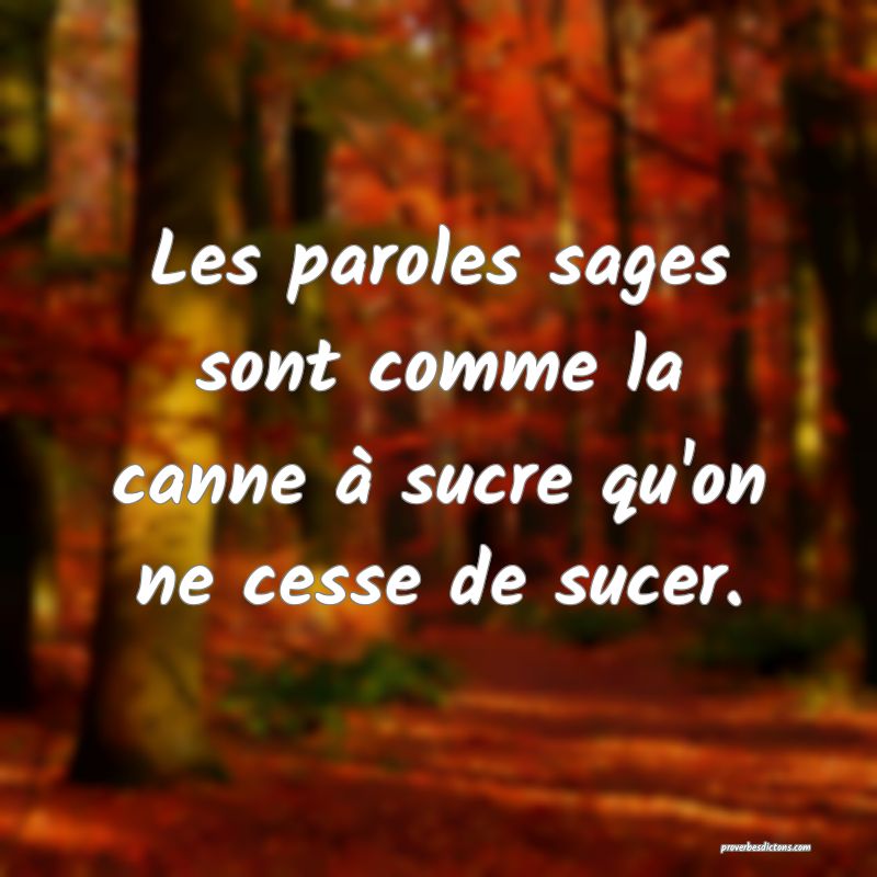 Les paroles sages sont comme la canne à sucre qu'on ne cesse de sucer.
