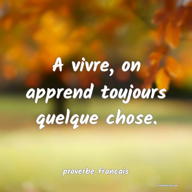 A vivre, on apprend toujours quelque chose.