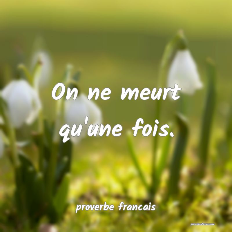 On ne meurt qu'une fois.