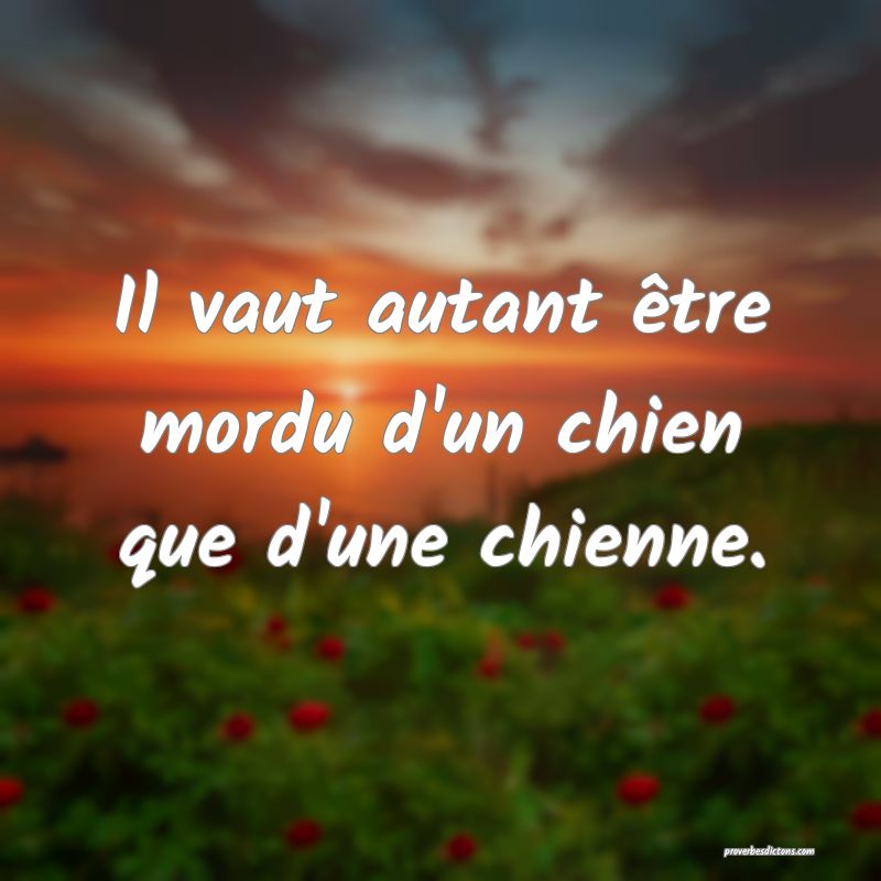 Il vaut autant être mordu d'un chien que d'une chienne.