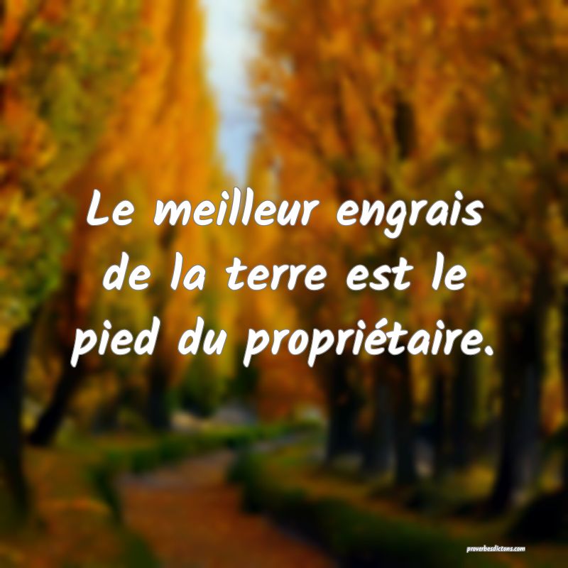 Le meilleur engrais de la terre est le pied du propriétaire.