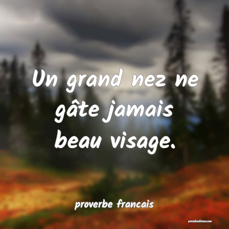 Un grand nez ne gâte jamais beau visage.