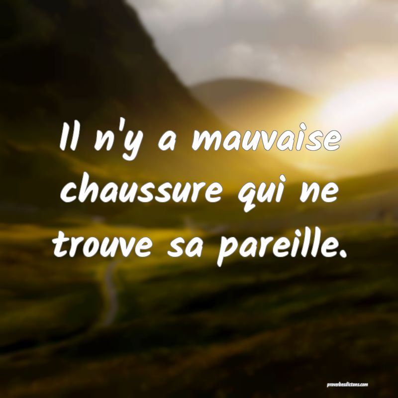Il n'y a mauvaise chaussure qui ne trouve sa pareille.