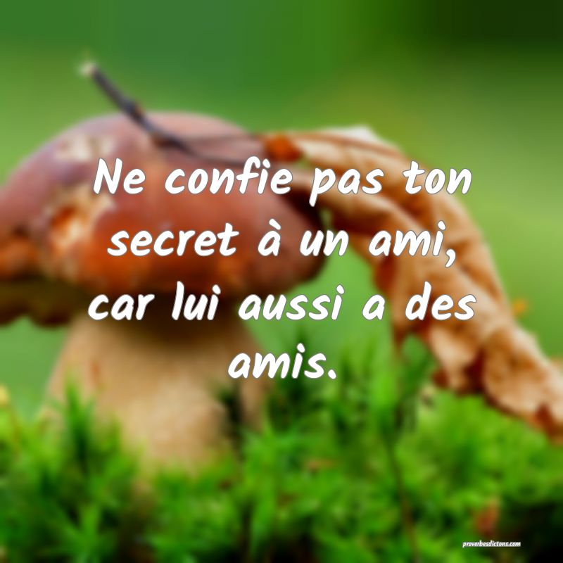 Ne confie pas ton secret à un ami, car lui aussi a des amis.