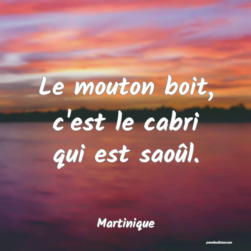 Le mouton boit, c'est le cabri qui est saoûl.