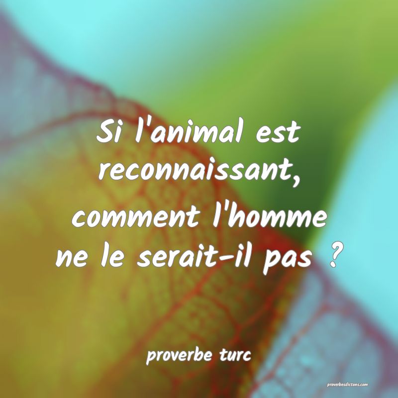 Si l'animal est reconnaissant, comment l'homme ne le serait-il pas ?