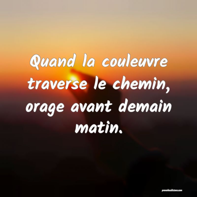 Quand la couleuvre traverse le chemin, orage avant demain matin.