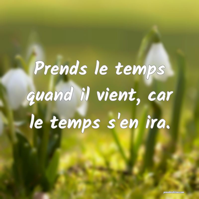 Prends le temps quand il vient, car le temps s'en ira.