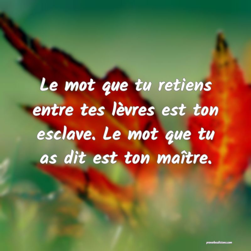 Le mot que tu retiens entre tes lèvres est ton esclave. Le mot que tu as dit est ton maître.