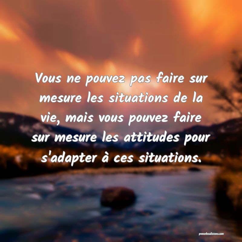 Vous ne pouvez pas faire sur mesure les situations de la vie, mais vous pouvez faire sur mesure les attitudes pour s'adapter à ces situations.