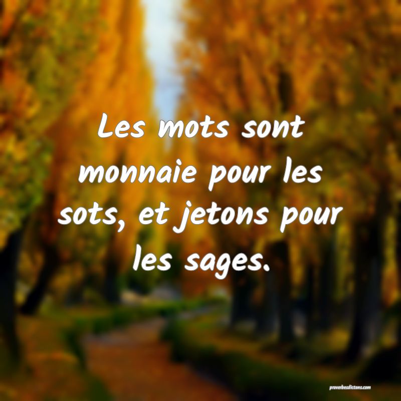 Les mots sont monnaie pour les sots, et jetons pour les sages.