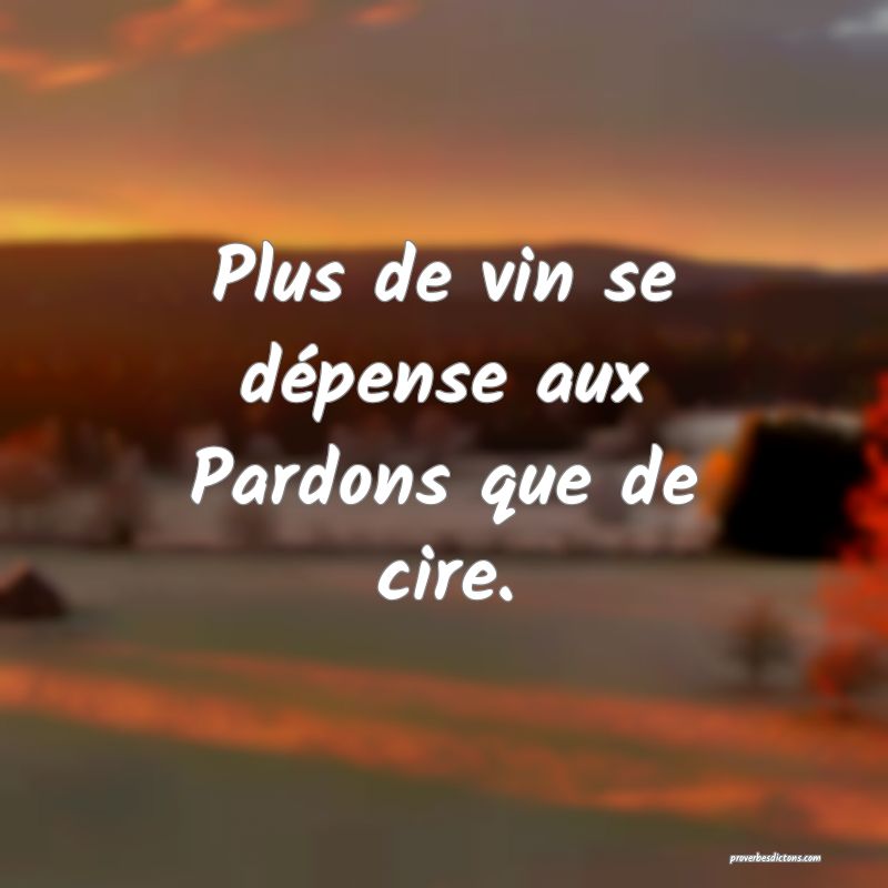 Plus de vin se dépense aux Pardons que de cire.