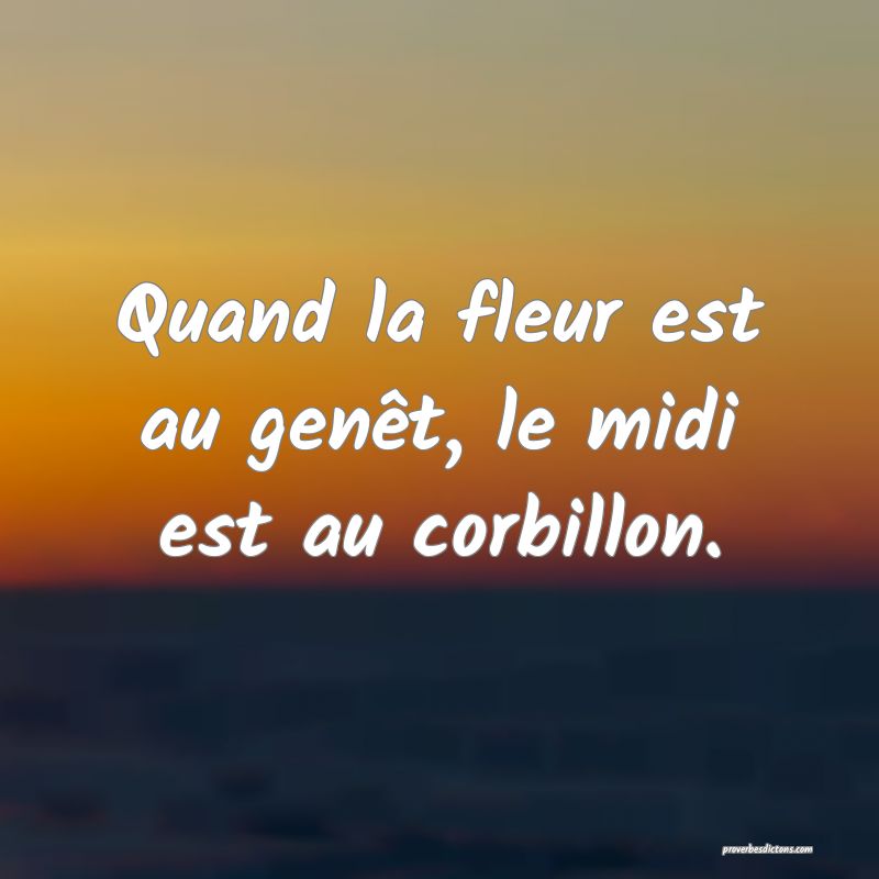 Quand la fleur est au genêt, le midi est au corbillon.