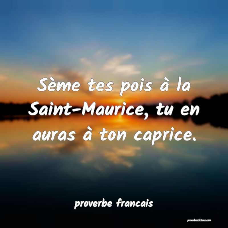 Sème tes pois à la Saint-Maurice, tu en auras à ton caprice.