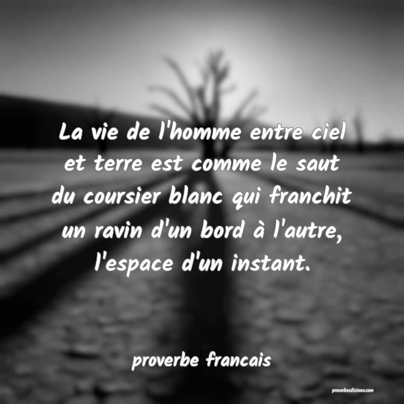 La vie de l'homme entre ciel et terre est comme le saut du coursier blanc qui franchit un ravin d'un bord à l'autre, l'espace d'un instant.