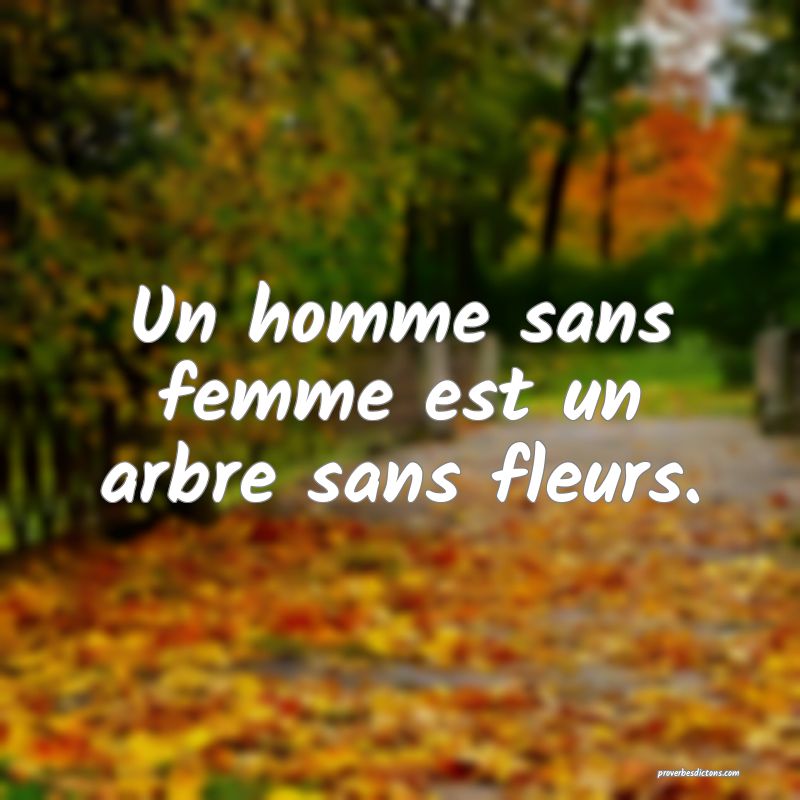 Un homme sans femme est un arbre sans fleurs.