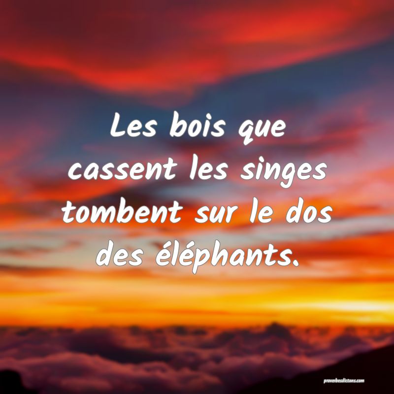 Les bois que cassent les singes tombent sur le dos des éléphants.