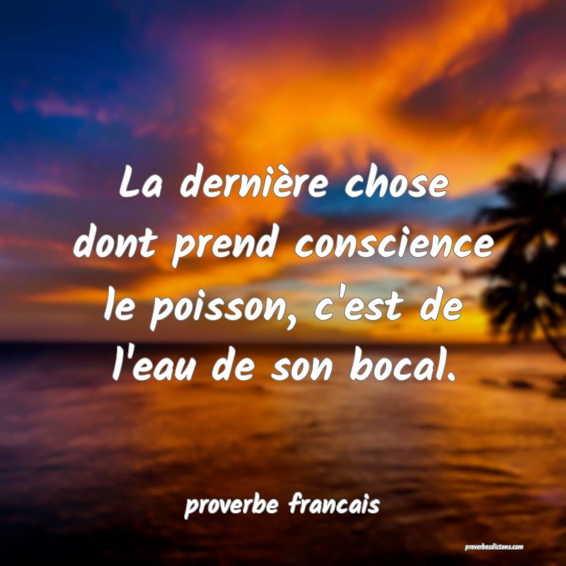 La dernière chose dont prend conscience le poisson, c'est de l'eau de son bocal.