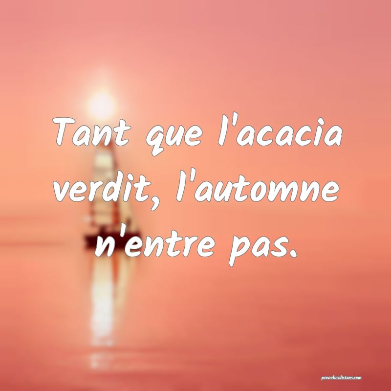 Tant que l'acacia verdit, l'automne n'entre pas.