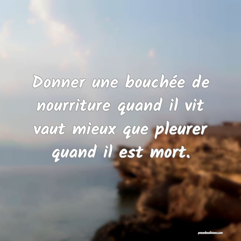 Donner une bouchée de nourriture quand il vit vaut mieux que pleurer quand il est mort.