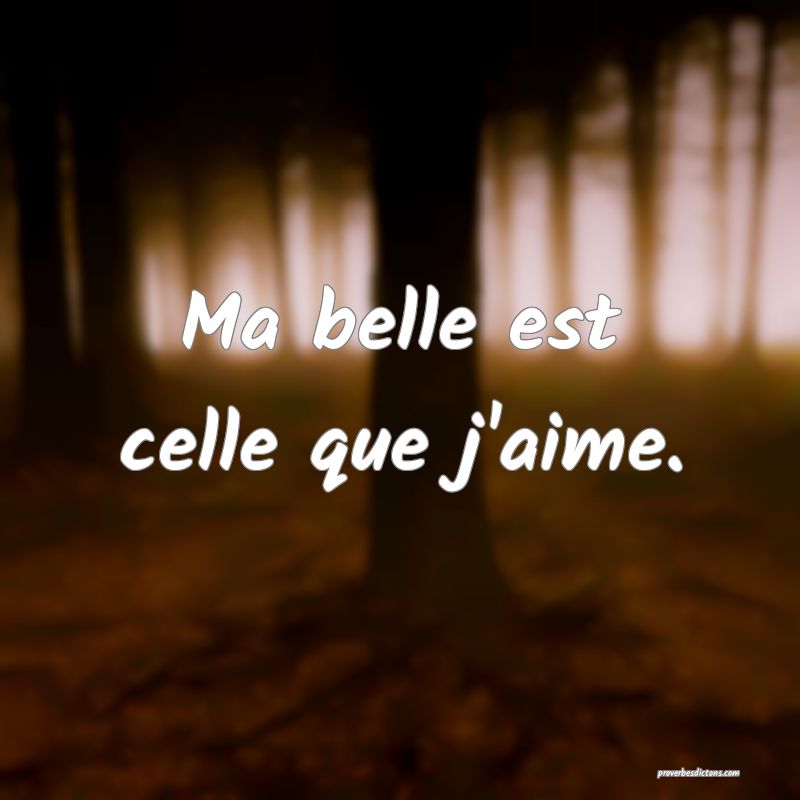 Ma belle est celle que j'aime.