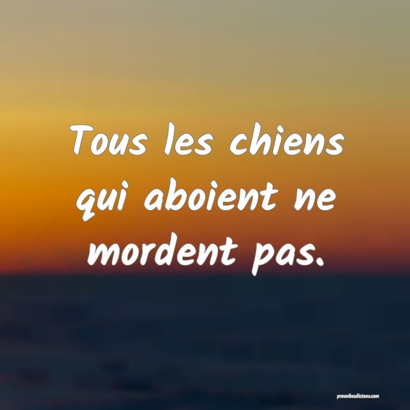 Tous les chiens qui aboient ne mordent pas.