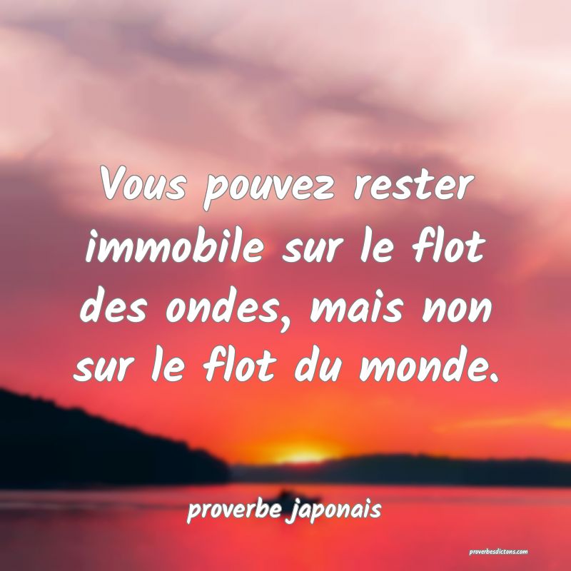  Vous pouvez rester immobile sur le flot des ondes, mais non sur le flot du monde.
