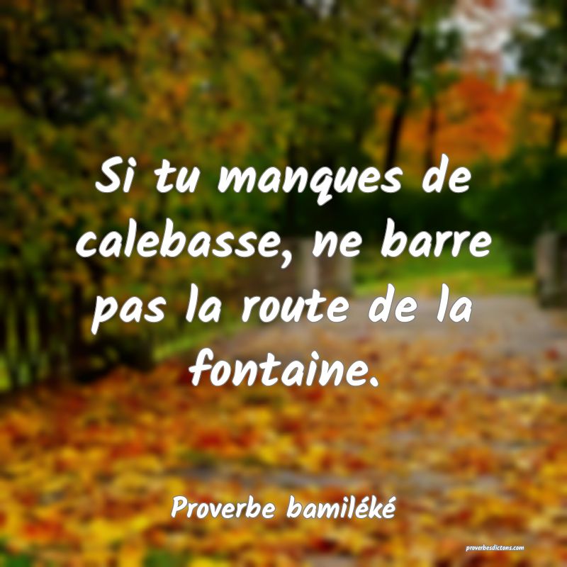 Si tu manques de calebasse, ne barre pas la route de la fontaine.