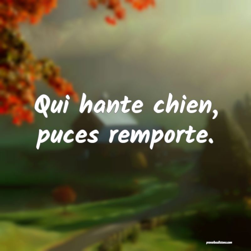Qui hante chien, puces remporte.