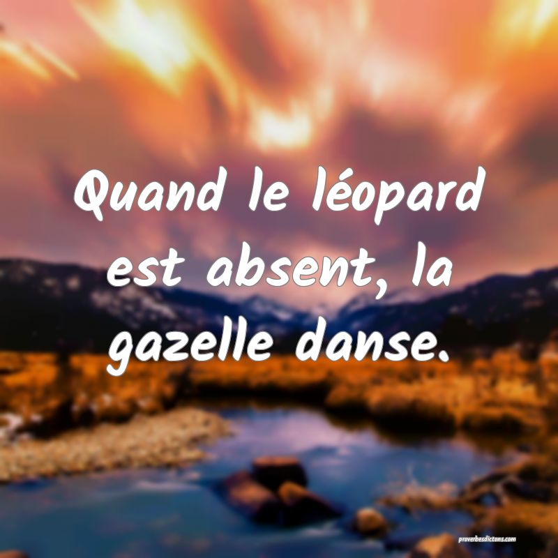 Quand le léopard est absent, la gazelle danse.