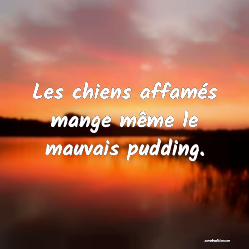 Les chiens affamés mange même le mauvais pudding.