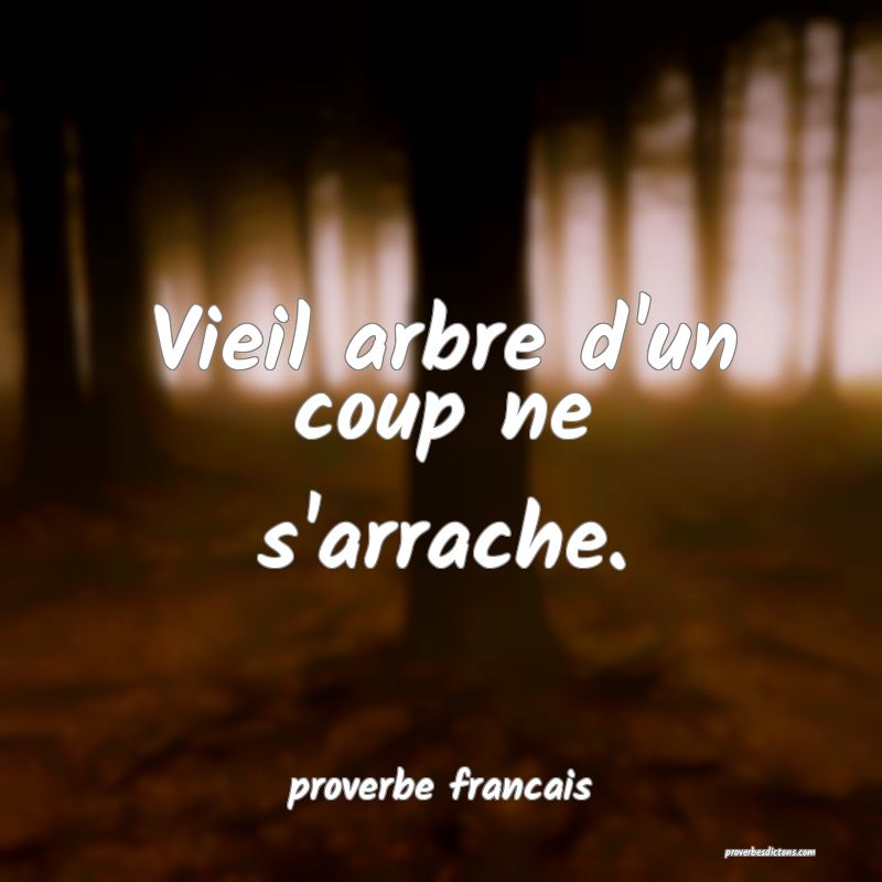 Vieil arbre d'un coup ne s'arrache.