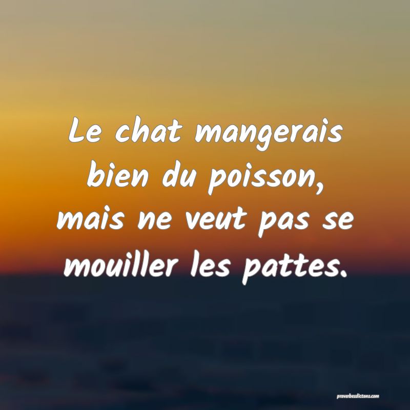 Le chat mangerais bien du poisson, mais ne veut pas se mouiller les pattes.