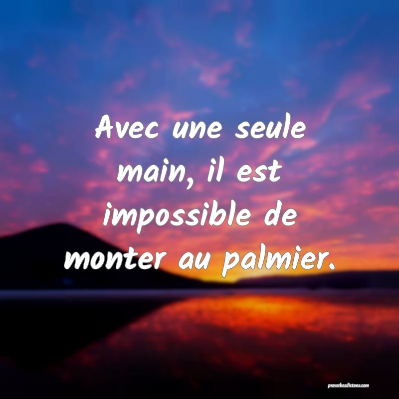 Avec une seule main, il est impossible de monter au palmier.