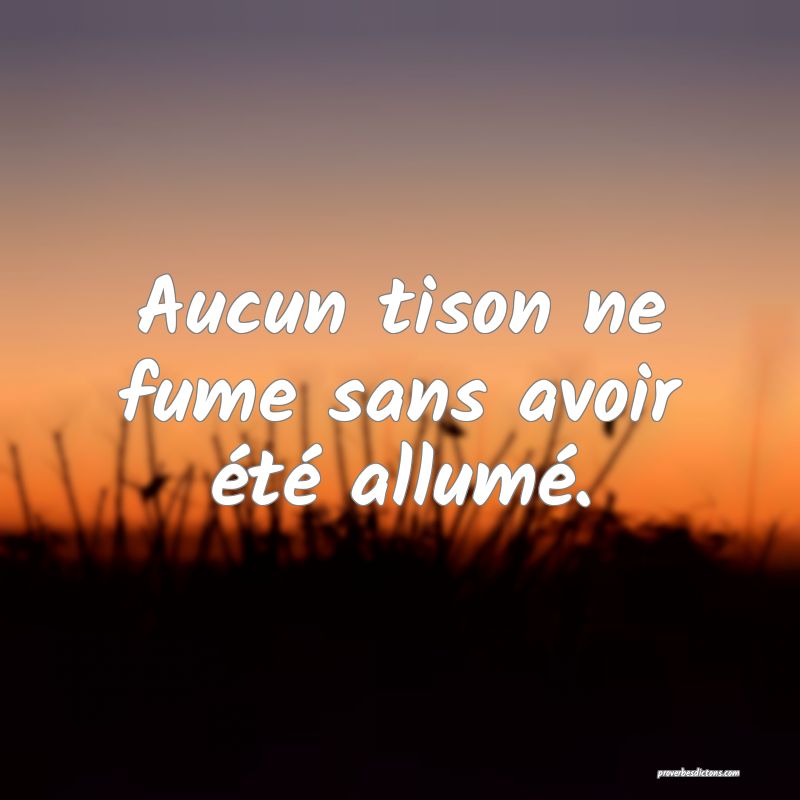 Aucun tison ne fume sans avoir été allumé.