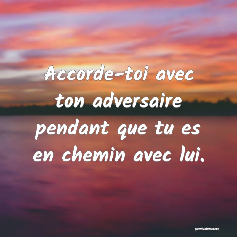 Accorde-toi avec ton adversaire pendant que tu es en chemin avec lui.