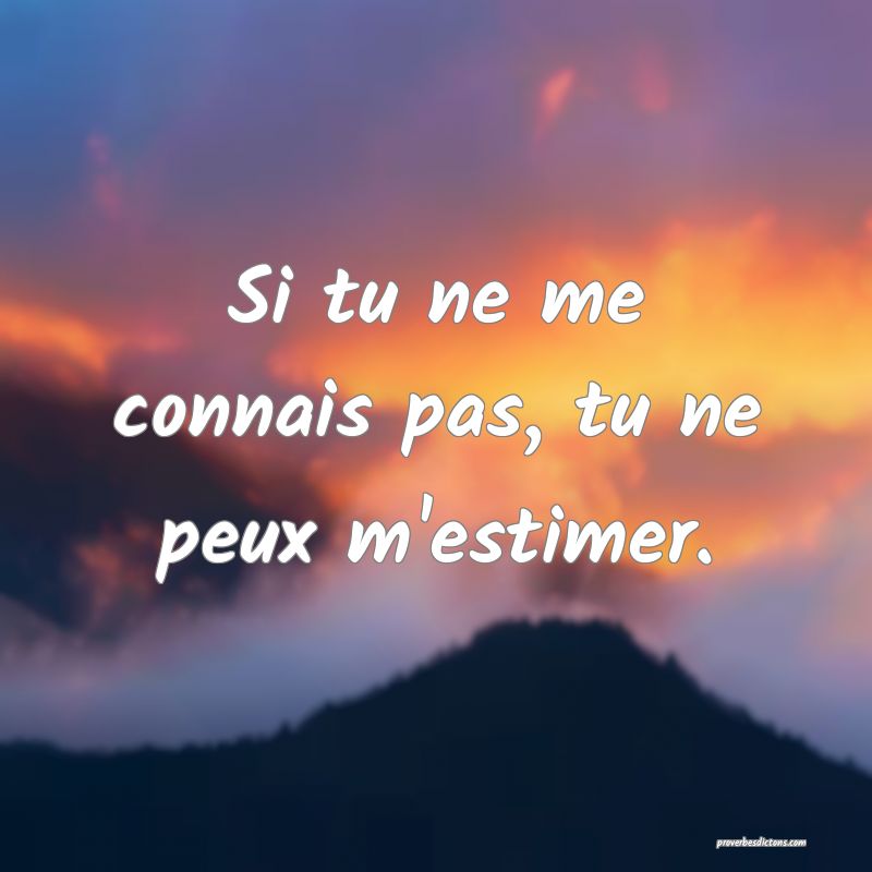 Si tu ne me connais pas, tu ne peux m'estimer.