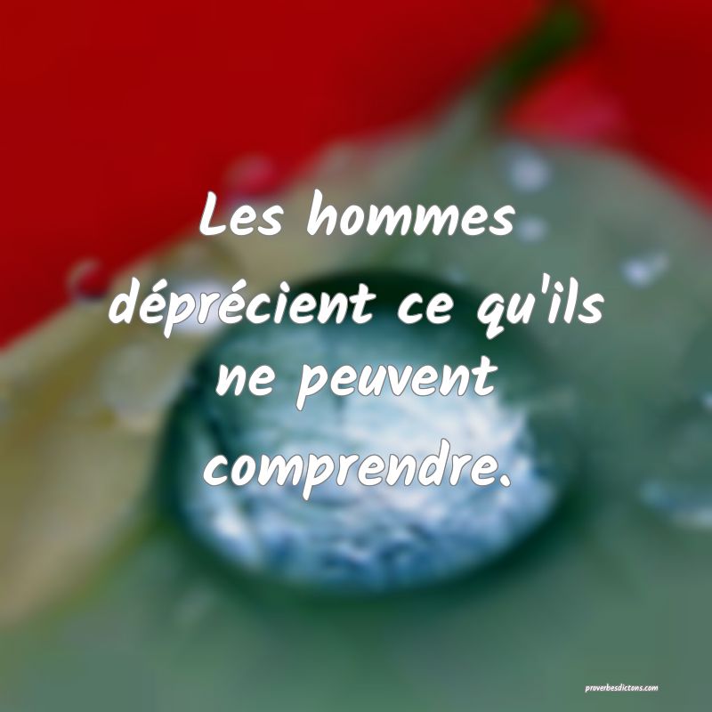 Les hommes déprécient ce qu'ils ne peuvent comprendre.