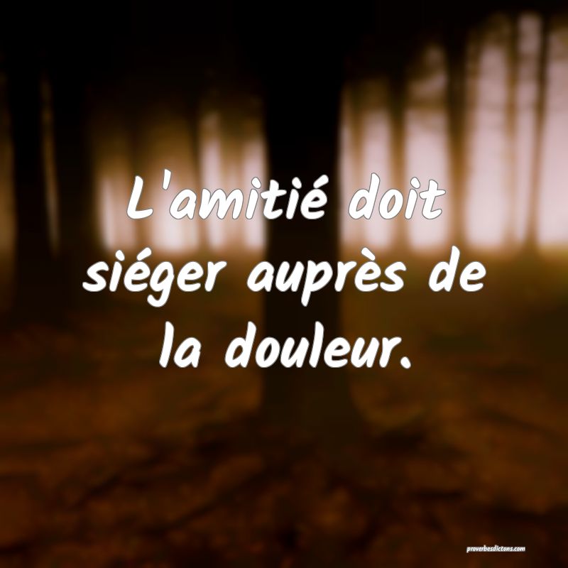 L'amitié doit siéger auprès de la douleur.