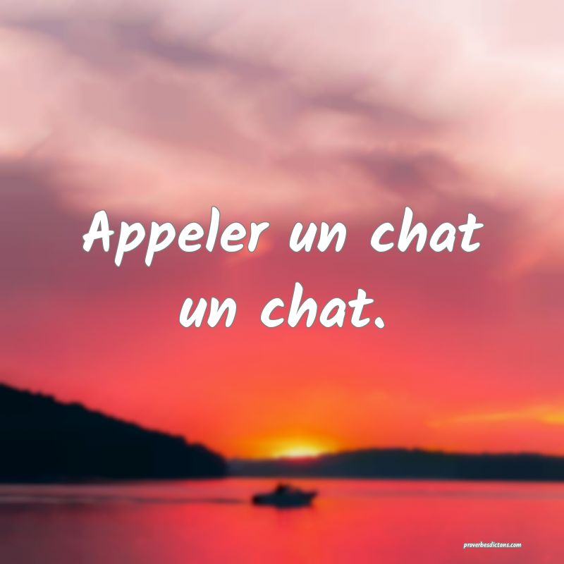 Appeler un chat un chat.