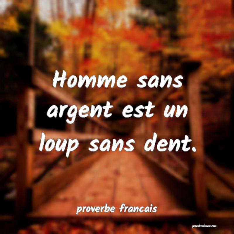 Homme sans argent est un loup sans dent.