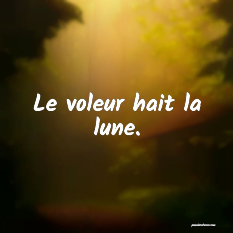 Le voleur hait la lune.