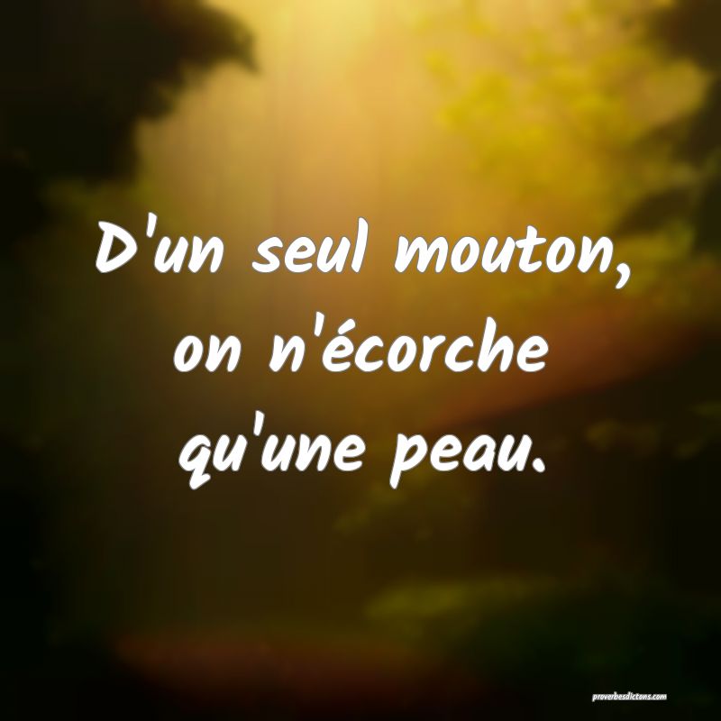 D'un seul mouton, on n'écorche qu'une peau.