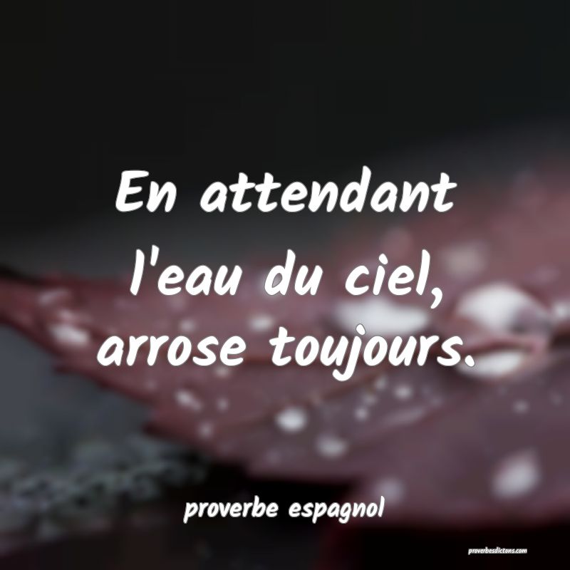  En attendant l'eau du ciel, arrose toujours.