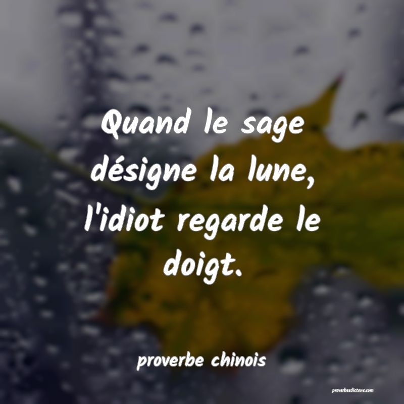 Quand le sage désigne la lune, l'idiot regarde le doigt.