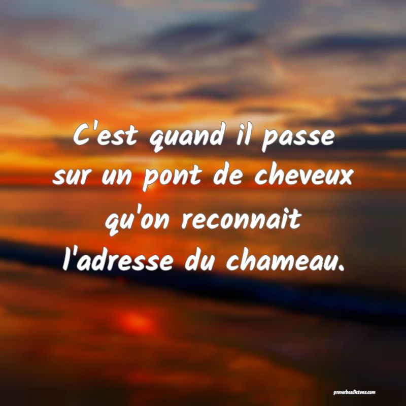 C'est quand il passe sur un pont de cheveux qu'on reconnait l'adresse du chameau.