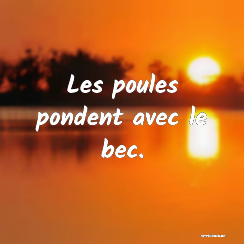 Les poules pondent avec le bec.