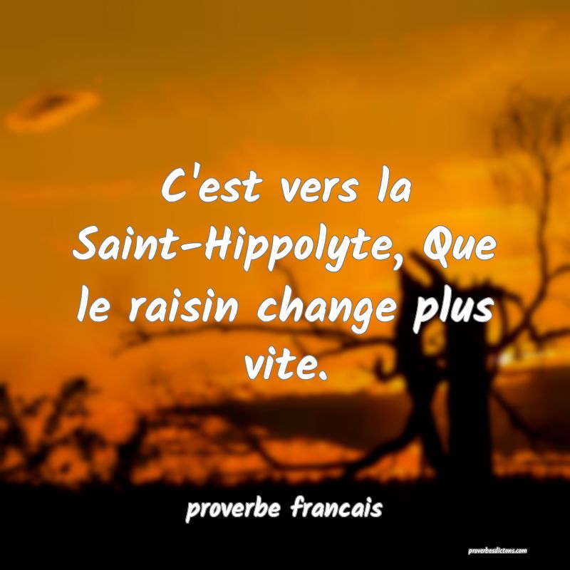 C'est vers la Saint-Hippolyte, Que le raisin change plus vite.