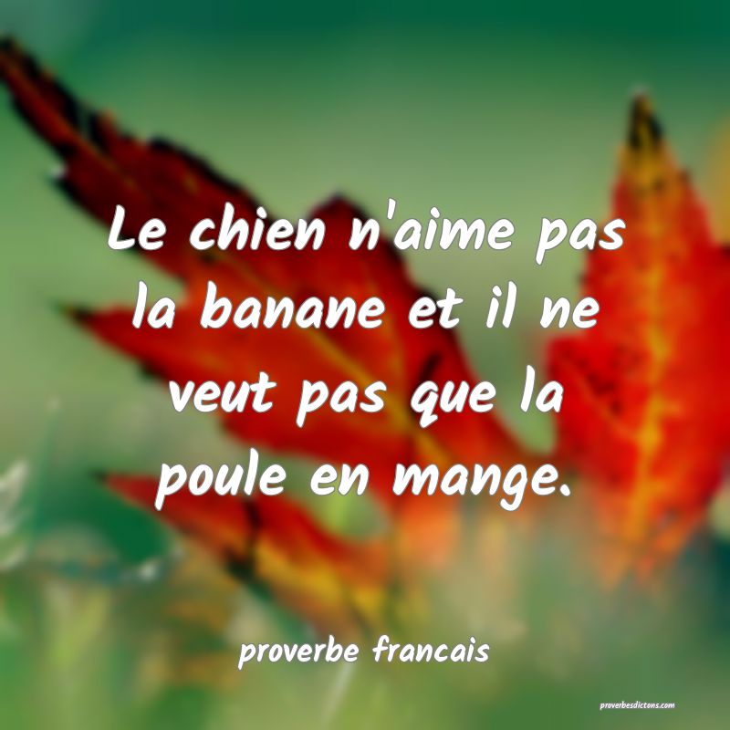 Le chien n'aime pas la banane et il ne veut pas que la poule en mange.
